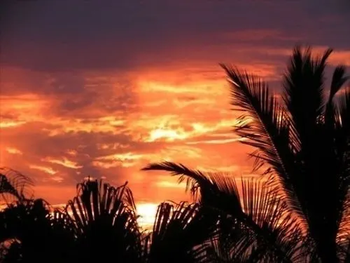 *** Hotel Kona Palace In Captain Cook United States